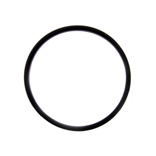 2 inch Diameter O-ring Gasket (for use on a keg)