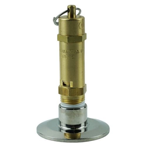 10 PSI Safety Valve with 2" x 1/2" Adapter