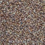 Paradise Seed (2oz)