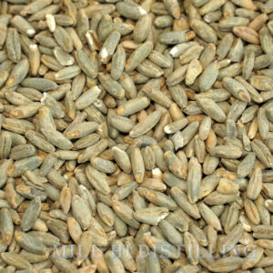 Rye Malt - 5lbs